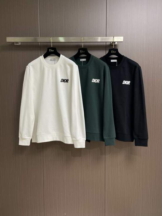 Picture of Dior Sweatshirt _SKUDiorS-XLtltx8731853